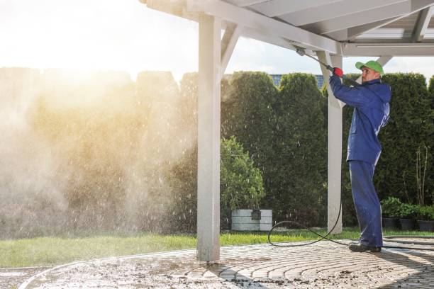 Animal Enclosure Cleaning in Central Square, NY